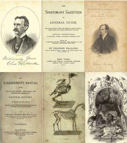 71 Old Books On Taxidermy Techniques Stuffing | Ubuy India