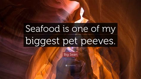Big Sean Quote: “Seafood is one of my biggest pet peeves.”