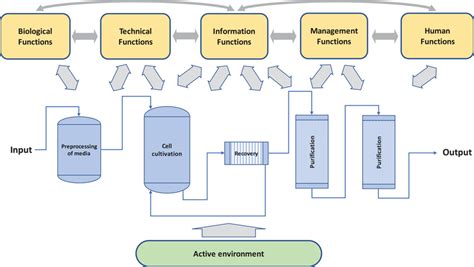 Biotechnology Process Steps Diagram 的图像结果