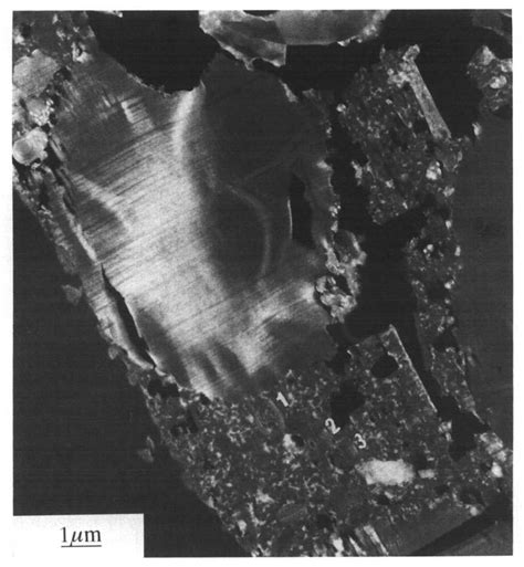 002 DF image of powder C. Area where the altered zones completely ...