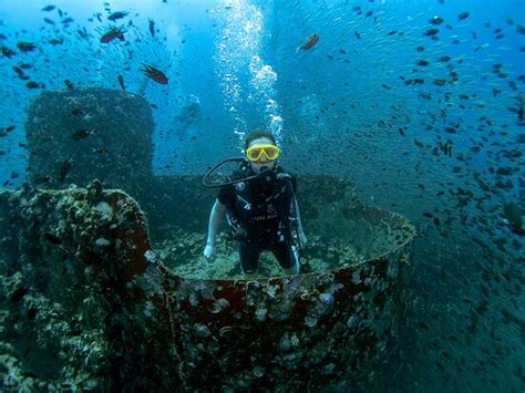 Pattaya Divers - 2022 What to Know Before You Go (with Photos ...
