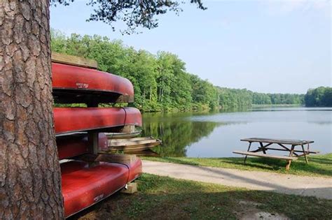 Best Campgrounds Near Colorado Springs