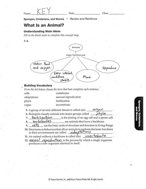 Prentice-hall Inc Science Worksheet Answers - Scienceworksheets.net