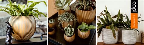 Small Indoor Planters – Sereno