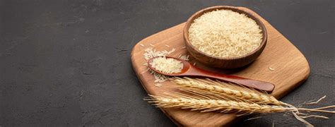 Rice Protein Per 100g: Plant Protein Nutrition