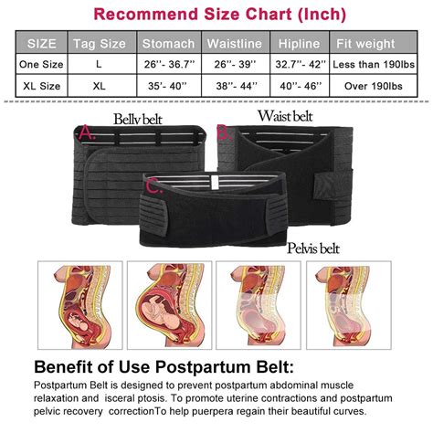 Buy Postpartum Belly Wrap 3 in 1 Support Recovery Belt - C Section ...