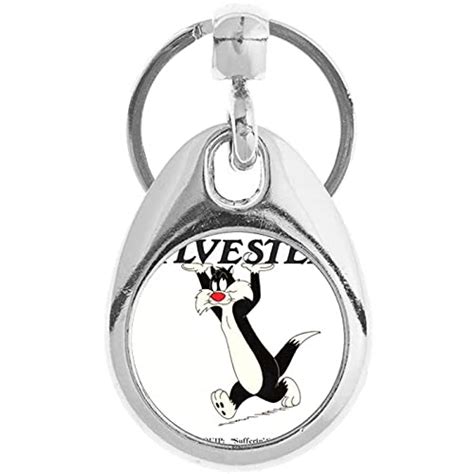 Buy Outstanding Sylvester The Cat Walking Holding Up Name Letters HD ...