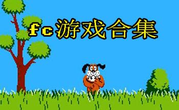 FC 小霸王红白机游戏合集，内含 4000 多款 FC 游戏下载 | 老郭种树