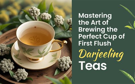A Perfect Guide to Master Brewing First Flush Darjeeling Tea – Golden Tips