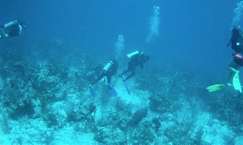 HUGH PARKEY'S BELIZE DIVE CONNECTION - All You Need to Know BEFORE You ...