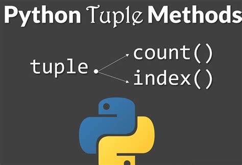 Image result for Python Tuple and List Methods Photo