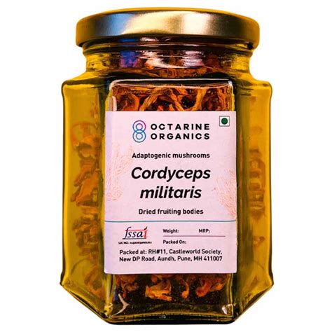 Buy Best Cordyceps Militaris Mushroom Online in India - Lab Grown ...