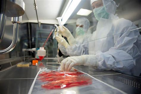 Cell Therapy Process 的图像结果