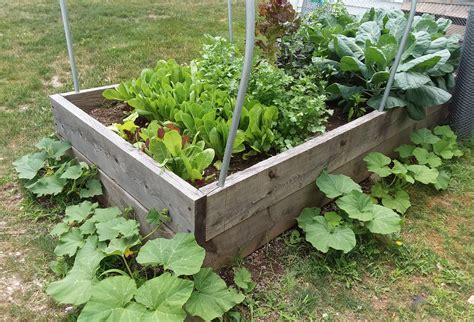 Local Sustainable Food 的图像结果