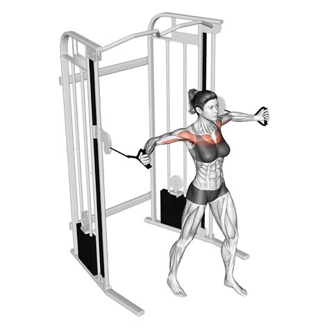 Cable Chest Fly: Muscles Worked and More - Inspire US
