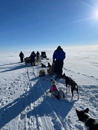 Gargia Husky The True North Experience (Alta) - All You Need to Know ...