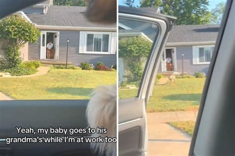 Dog Realizes He’s Going to Grandma’s House, Reaction Melts Hearts ...