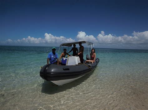 WILD AFRICA OCEAN SAFARIS (2026) All You Need to Know BEFORE You Go ...