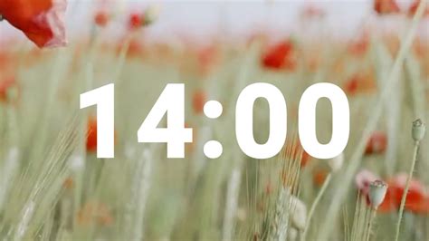 14 Minute Timer with Relaxing Music and Alarm, Countdown Clock for ...