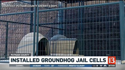 Putnam County sheriff ready to make arrests on Groundhog Day | wthr.com