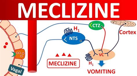 Meclizine for vertigo and motion sickness - YouTube