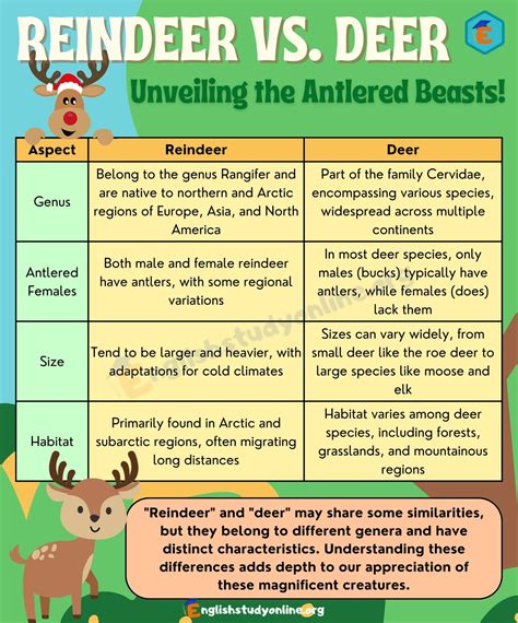 Reindeer vs. Deer: What's the Difference? - English Study Online
