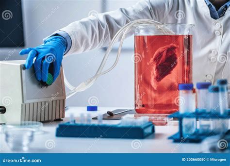 Biotechnology Process 的图像结果