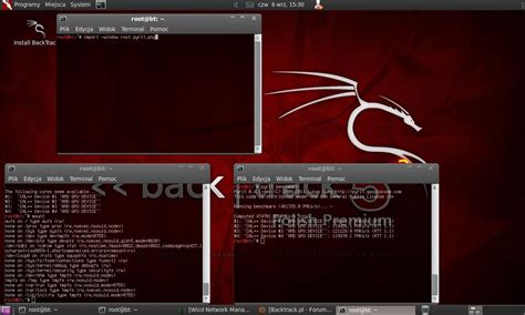 Backtrack Operating System 的图像结果