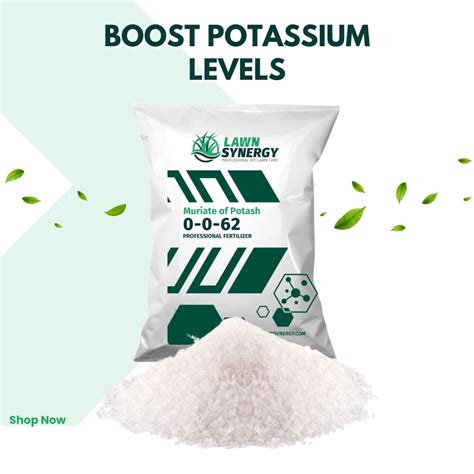 Potassium Fertilizer 0-0-62 - Muriate of Potash