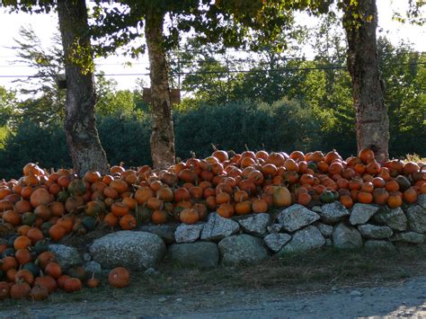 Pumpkin Patch Campground Hermon Maine: Family Fun & Camping