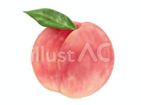 Image result for HTML jQuery Add Edit Remove Row