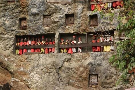 wisata toraja negeri diatas awan