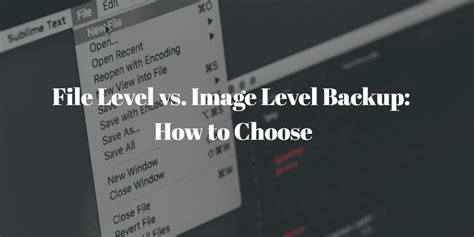 Image result for File-Level Backup