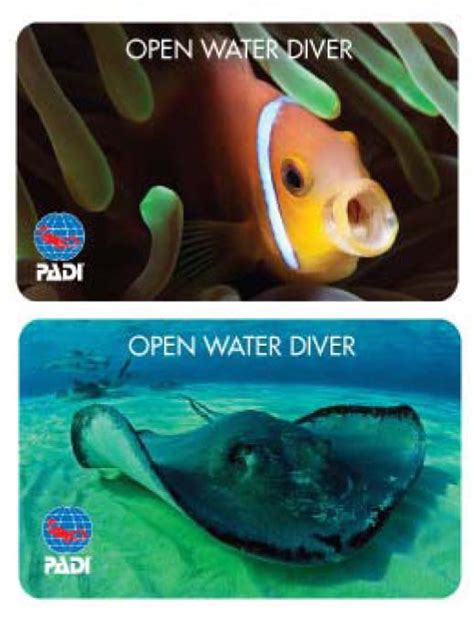 PADI Replacement Cards | Scuba Diving