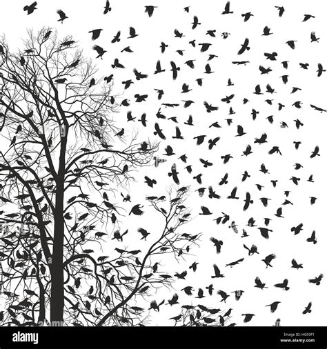 Flock of crows Stock Photo - Alamy