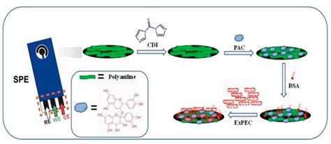 Punjab Engineering College's Expert Talk Transcends Boundaries of ...