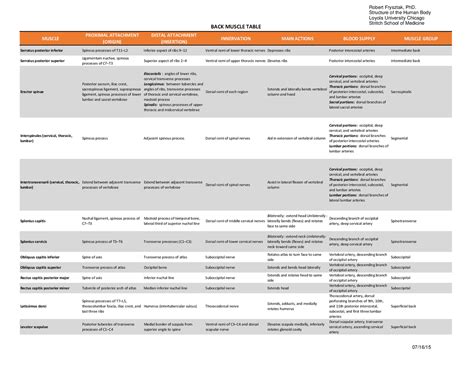 Image result for Back Muscle Chart