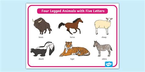 * NEW * Four Legged Animals with Five Letters Display Poster