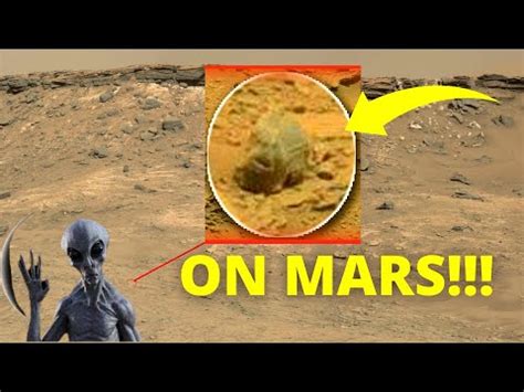 Image result for Alien Skull On Mars
