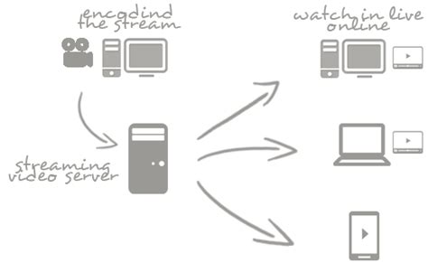 Stream Tutorial 的图像结果