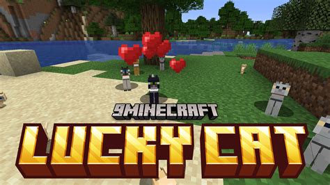 Image result for Block Overlay Mod Minecraft 1.16.1 Java