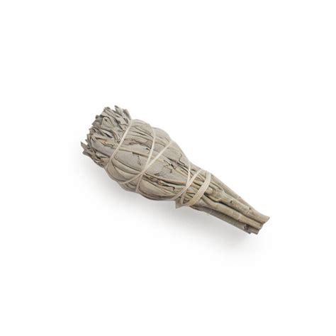 White Sage Smudge Stick (Large) | Organic Merchant