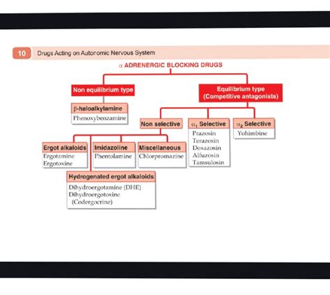 Alpha blocker - Summary Essentials of Medical Pharmacology - 1st prof ...