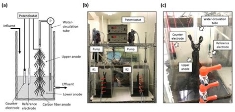 Community Structure Analyses of Anodic Biofilms in a Bioelectrochemical ...