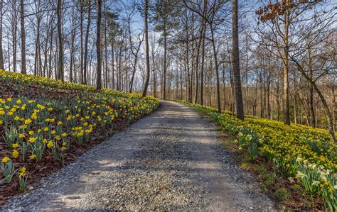Photography in Nature 的图像结果