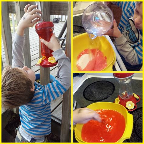 Perky Pets Hummingbird Feeder Review