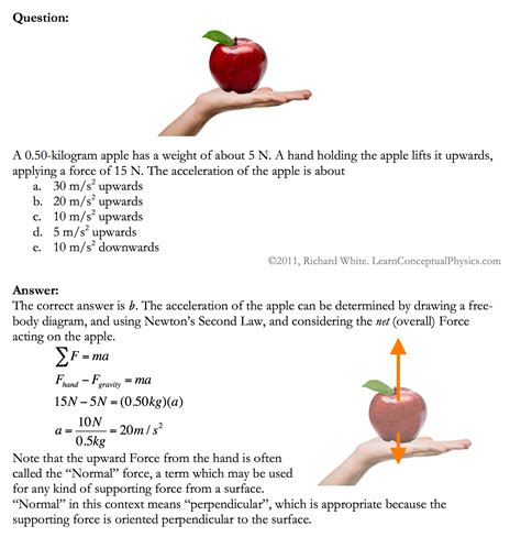 Physics Problem Newton 的图像结果