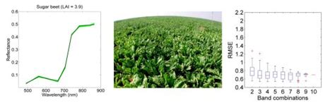 Optimal Exploitation of the Sentinel-2 Spectral Capabilities for Crop ...