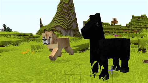 Mo' Creatures 1.12.2 的图像结果