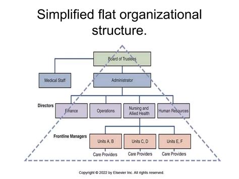 L Types Organization Structure 的图像结果